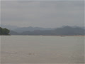 myhauvuong