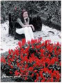 VoTinhChanh