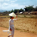 trieuvananh