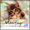 BocoCat