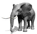 Jumbo1978