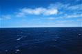 ocean111
