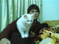 anhsorry2808