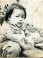 ngocphuong04