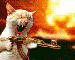 meodeptrai