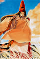hijakata