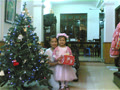 haimy248