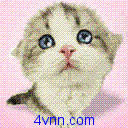 kittiphuong