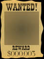 rob2000