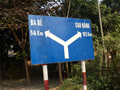 cohongvang