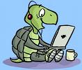 mrtortoise