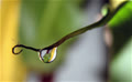 maitri0101