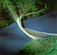 Bridge98