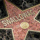 swallowag2