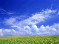 azuresky