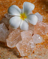 rose_mary