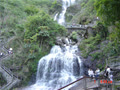elninohoang