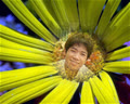 thaibinhitdb