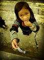 hainam20007