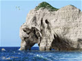 vihatico