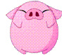 pigdaika