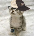 kittyhtt