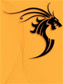 fengshui2007