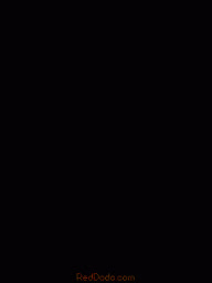 kienbiu