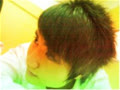 theonlysea
