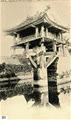 nguyendinhgiao