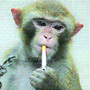 phucplus