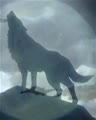 thegioifang