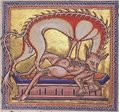 hyenabig