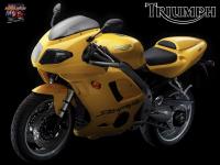 Linh020304