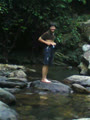nguyentlu