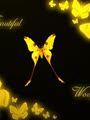 lonelyCat83