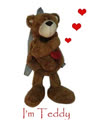 TeddyKute