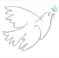 thinwhale