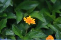 tranminh0467