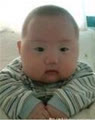 hoangcc