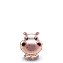 springro0l