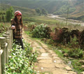 trangbeo88