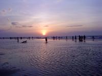 hongtim289