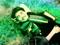 xuanluanbui