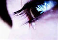 hotaru1710