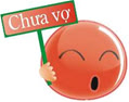putinvietnam