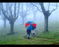 nhichit