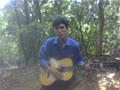 aoxanhhstc