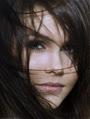 zendinh