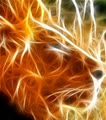 mrlion